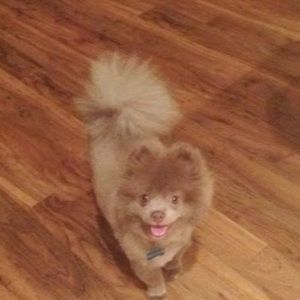 Meet your Posher, Nancy